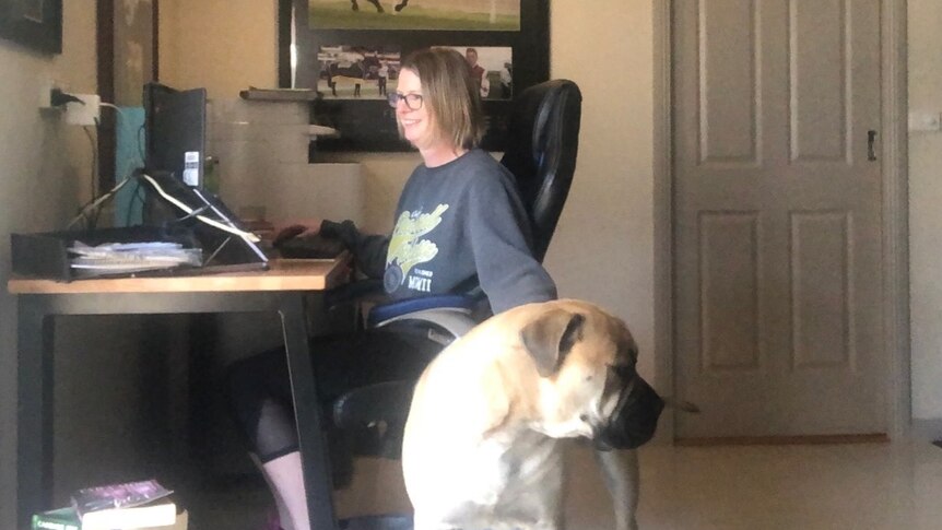 A woman sits at a desk on a computer while she pats a dog with one hand.