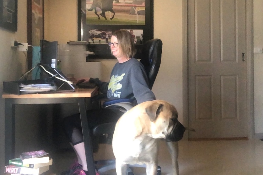 A woman sits at a desk on a computer while she pats a dog with one hand.