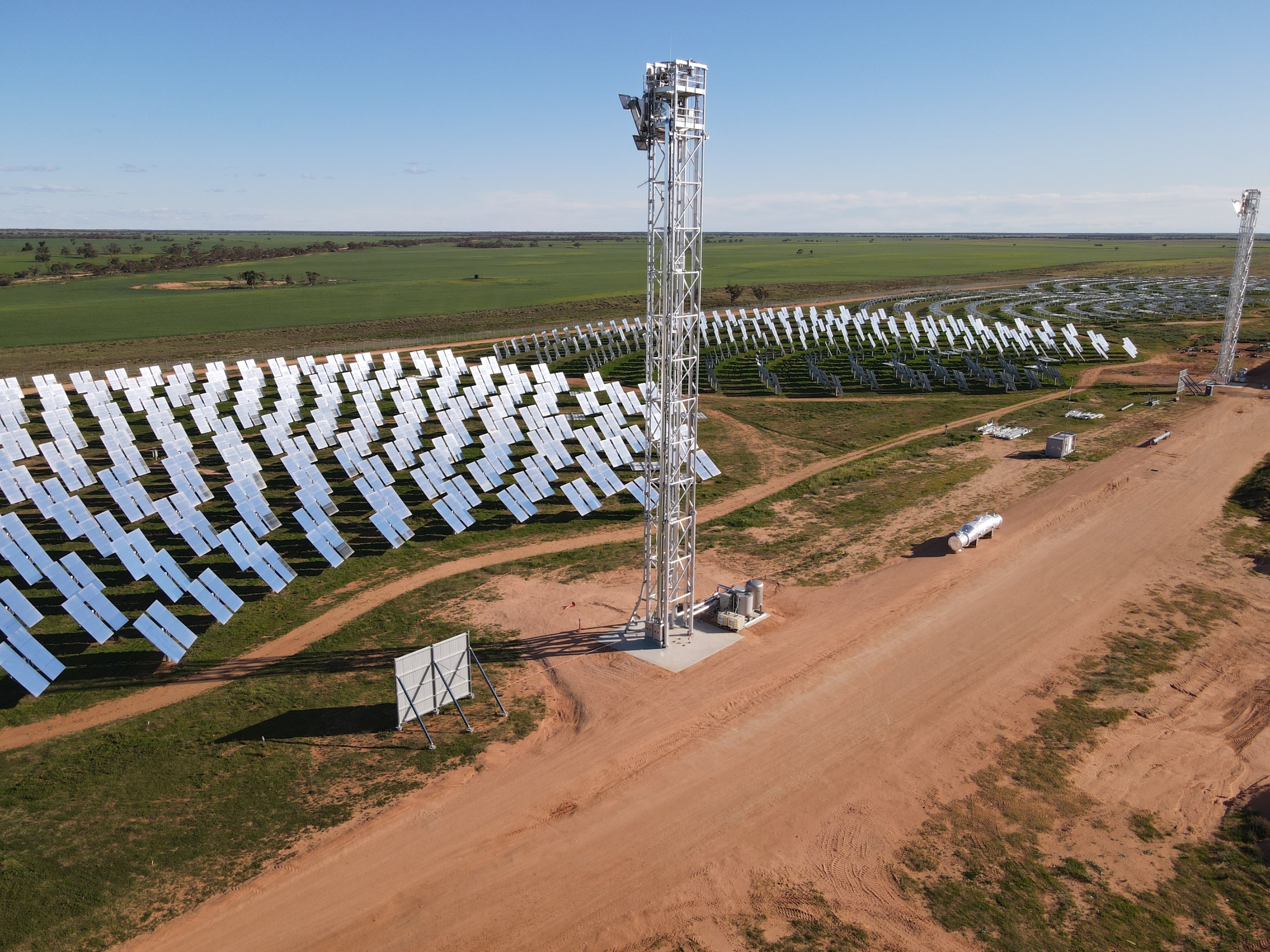 The RayGen Carwarp plant