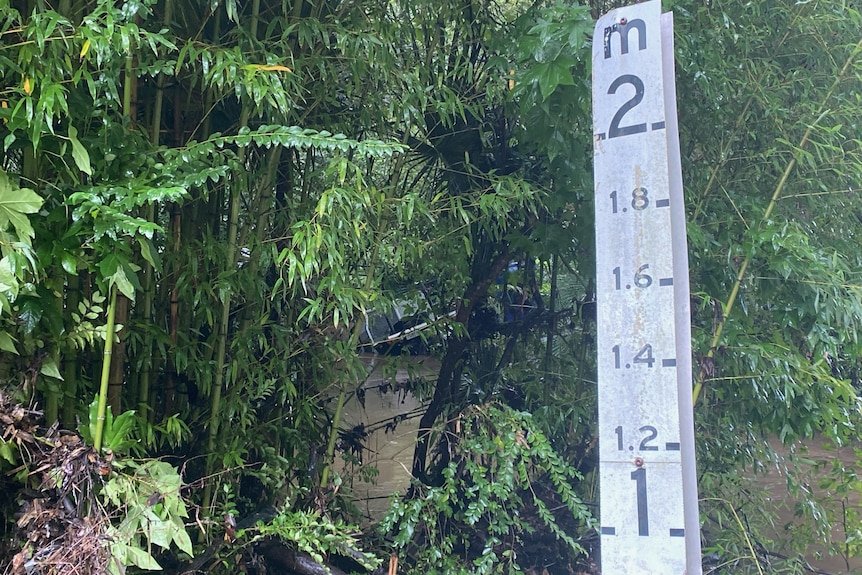Image of a white picket with numbers calibrated on it, in front of greenery. Submerged black car through the distance