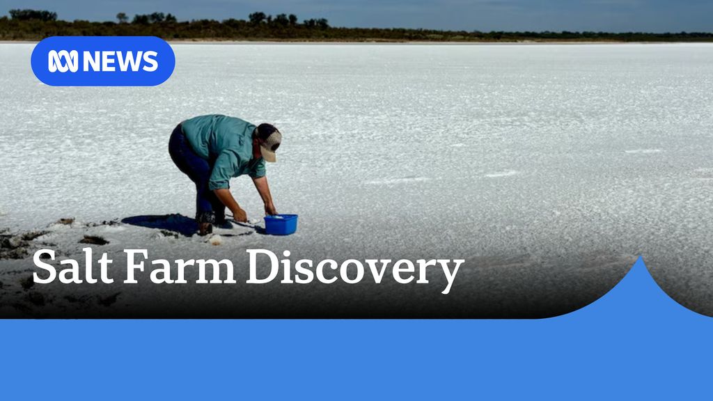 Salt Farm Discovery A man bends over on a salt bed with a blue tub.