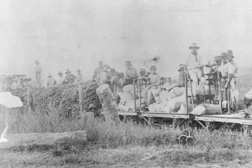 a group of people stand and sit on an old train loaded with bags of cane