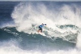 Jacob Willcox surfing
