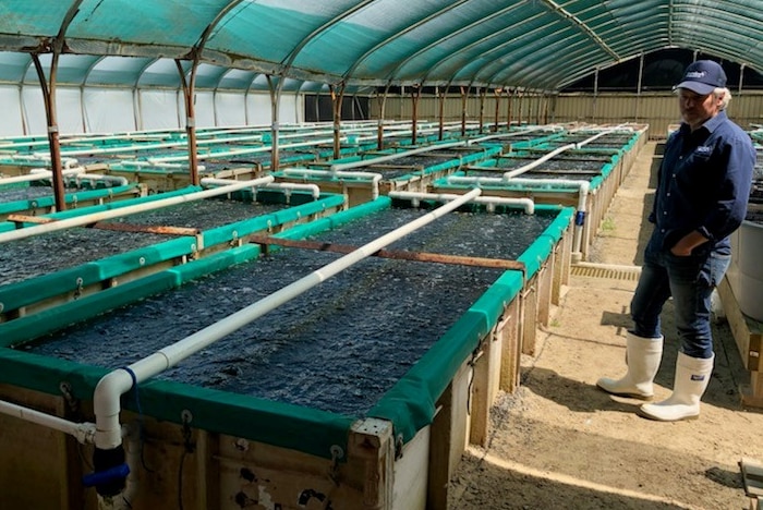 Water tanks with abalone and a staff member