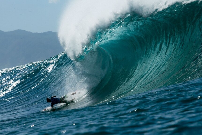 A surfer falls during competition at Pipeline