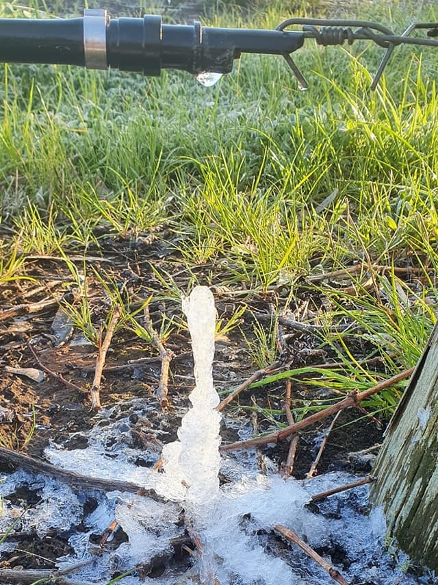 A hose dripping onto a stack of frozen water on the grass