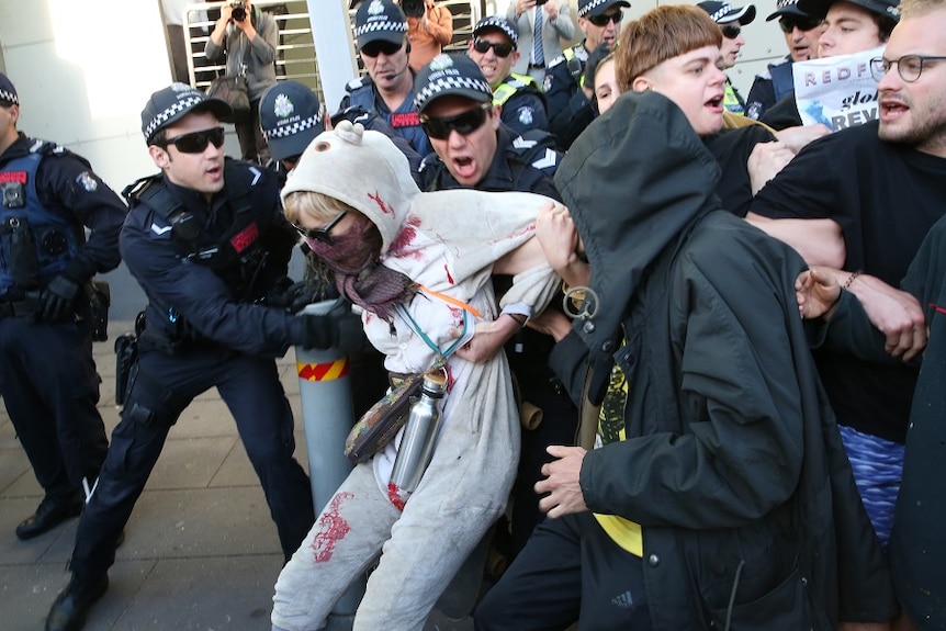 A protester wearing a onesie is dragged away by police.