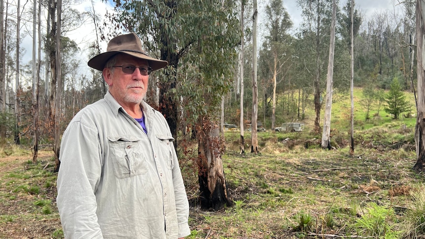 Man in hat stands in forest