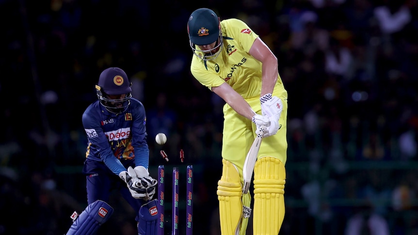 A tall Australian batsman looks down as the ball misses his bat and cannons into the stumps, sending the bails flying.