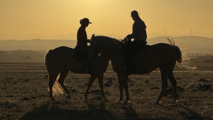 Two women on two horses in silhouette at sunset