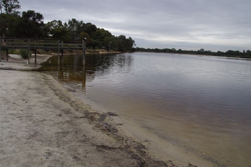 A jetty on Bibra Lake