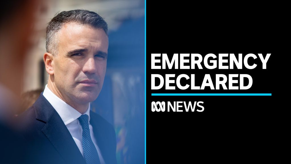Peter Malinauskas declares major flood emergency in the Riverland - ABC ...