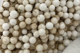 a bag filled with polystyrene beads