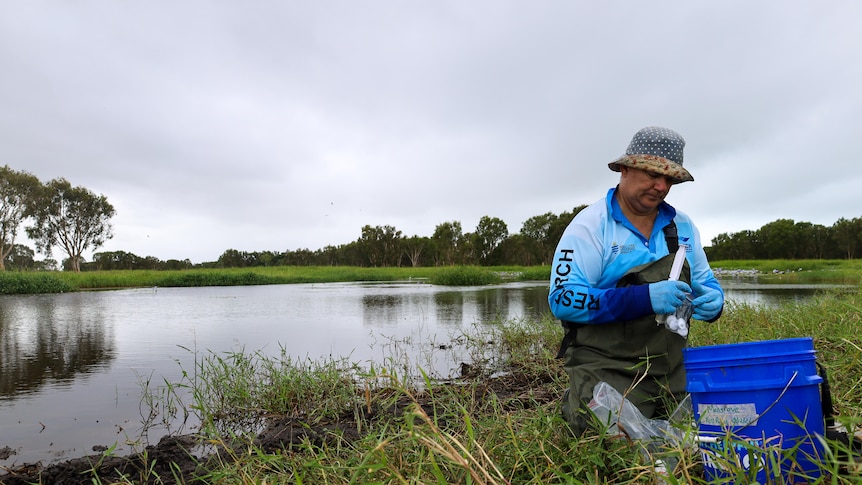 A man wearing a bright blue fishing shirt and a hat by a wetland.