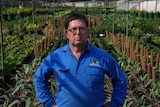 Gold Coast nursery owner stands in front of his plants