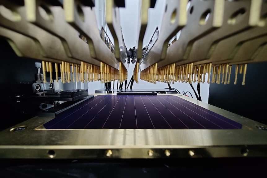 A blue solar cell sits on a platform inside a laboratory underneath a number of gold metal pegs.