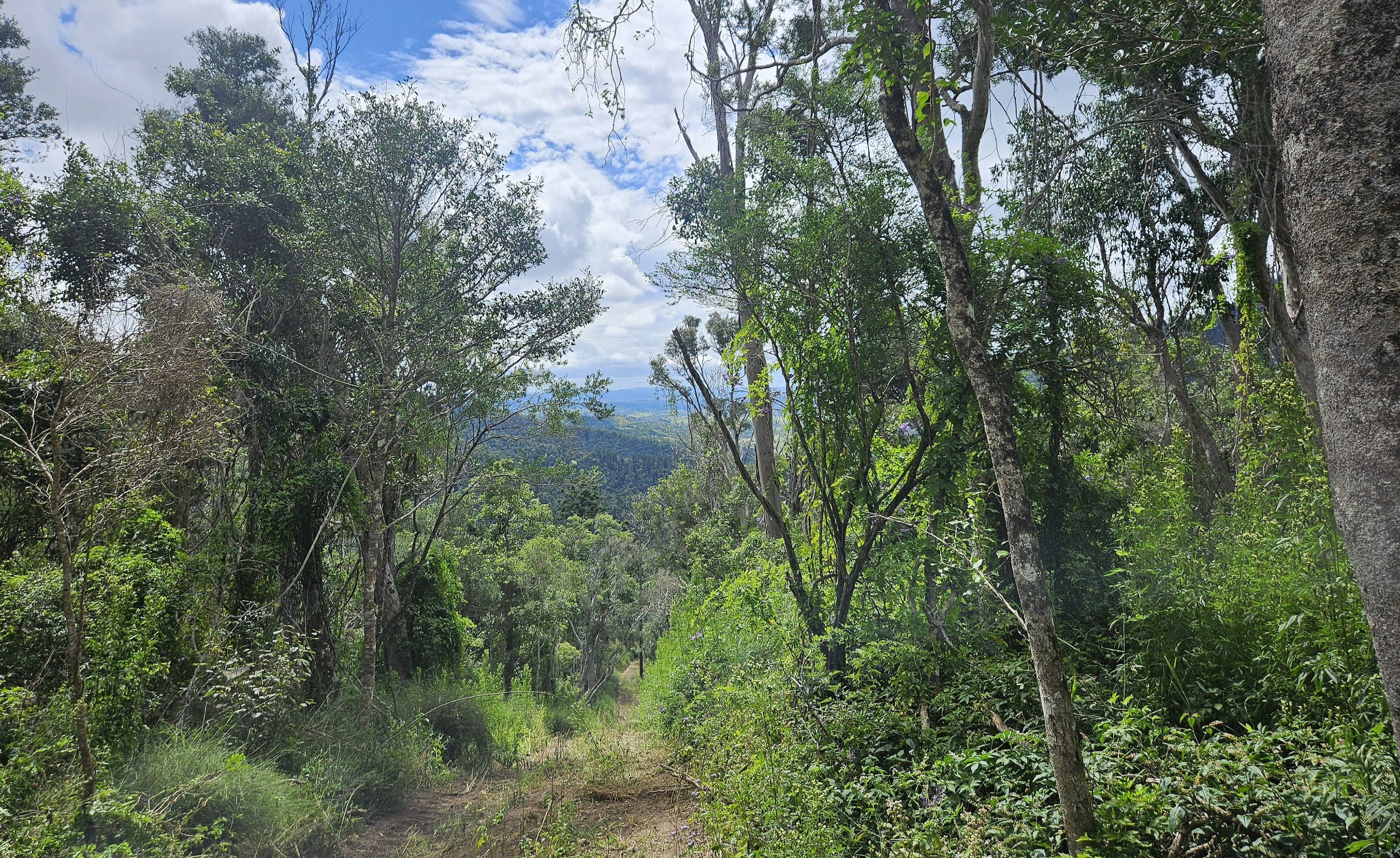 24e40f00f4ca52822915f988379f5caf?impolicy=wcms_crop_resize&cropH=2451&cropW=3677&xPos=162&yPos=0&width=862&height=575