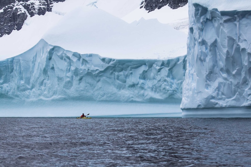 A man paddles a kayak, he is dwarfed by the giant cliffs of ice around him.