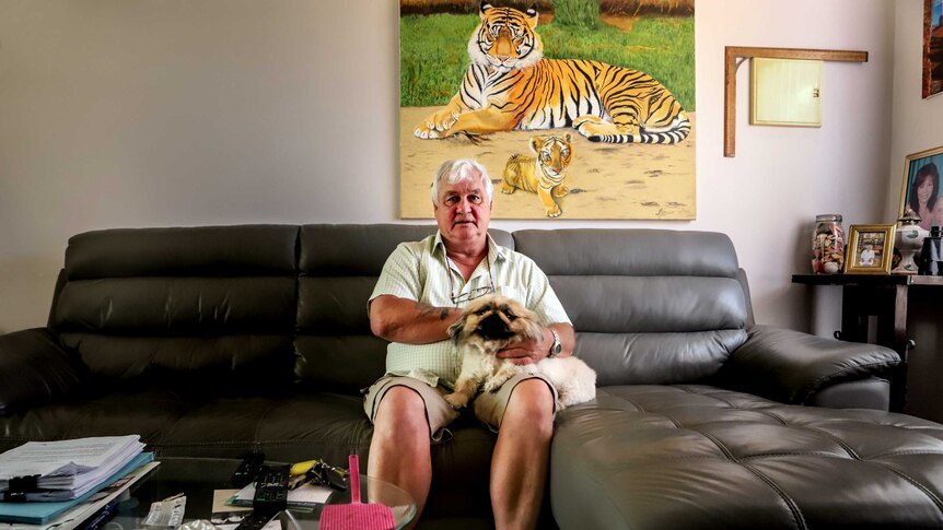 Man wearing light green shirt and shorts sits on black leather couch with small dog on lap and painting of tiger in background