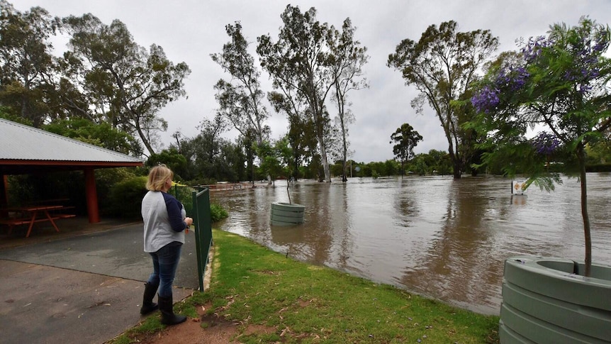 A woman looks out at rising water from the local park and barbeque area in Euroa.