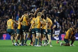 A group of tired but happy Australian rugby union players celebrate on the field after winning a Test match.
