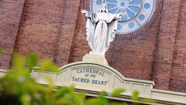 An independent panel's report into the future of two Hunter Catholic priests will be delayed after two panel members resigned.