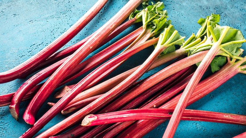 A pile of rhubarb on a blue surface.