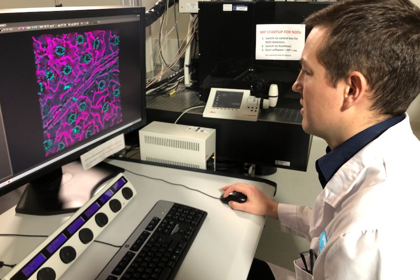 A man in a white lab coat sits at a computer with a brightly coloured image on it.