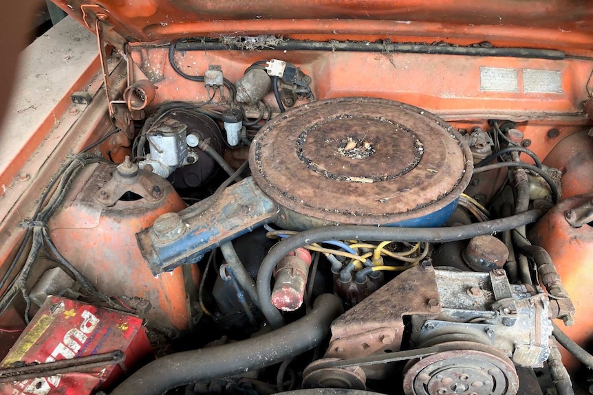 The engine bay of a 1973 Ford Falcon.