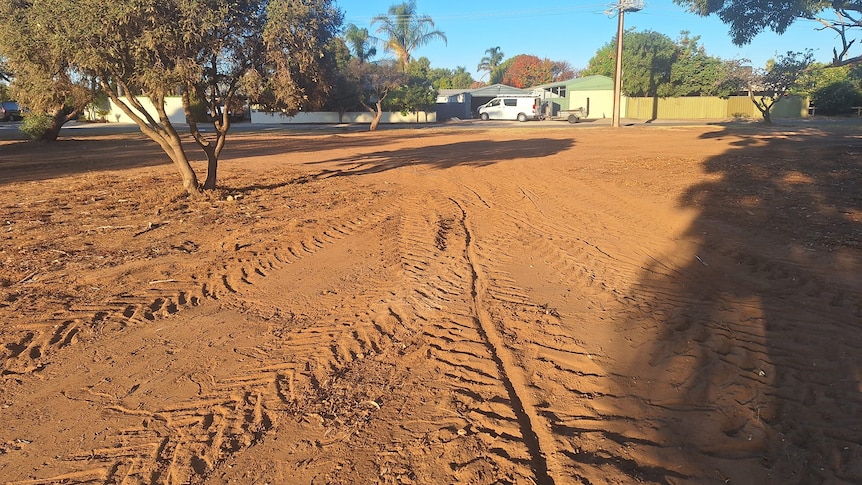 expansive dirt patch with truck tyre tracks in foreground and large trees in backgrounde 