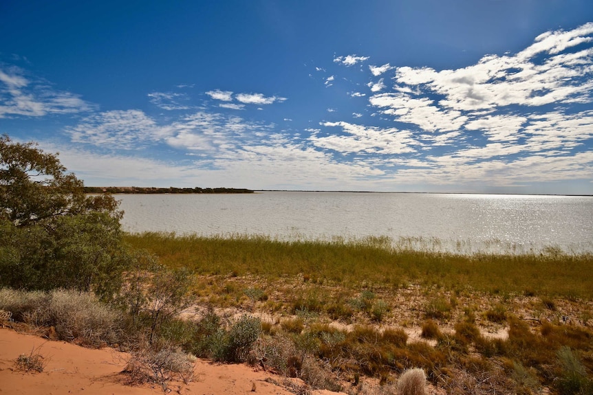 A large lake is filled with water with green reeds and orange sand at the lake's edge