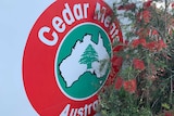 A close-up photograph of the Cedar Meats Australia logo, next to a bottlebrush tree.