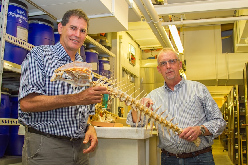 Queensland's Museum Jeff Johnson and Dr Robert Adlard have shown Queensland students inside the marine parasite world.