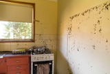 A kitchen covered in debris after flooding