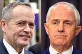 Composite of Bill Shorten looking happy and Malcolm Turnbull looking frustrated.