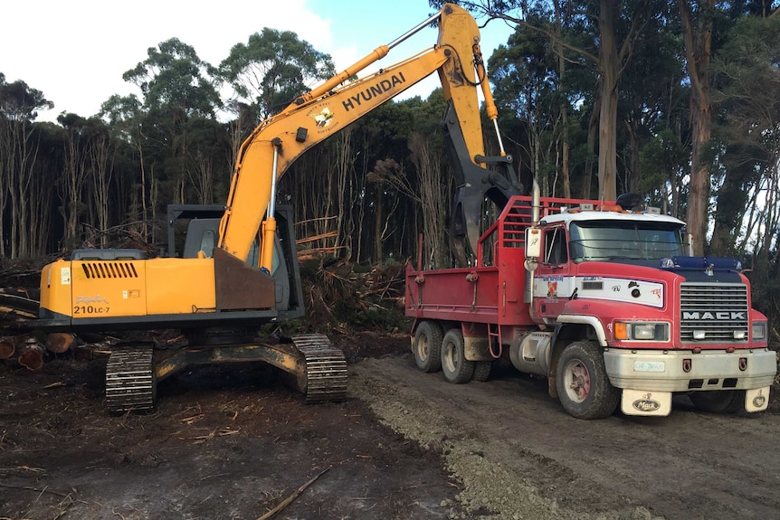 Logging in Tasmania