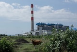 PLTU Celukan Bawang di Bali yang menggunakan bahan bakar batubara.