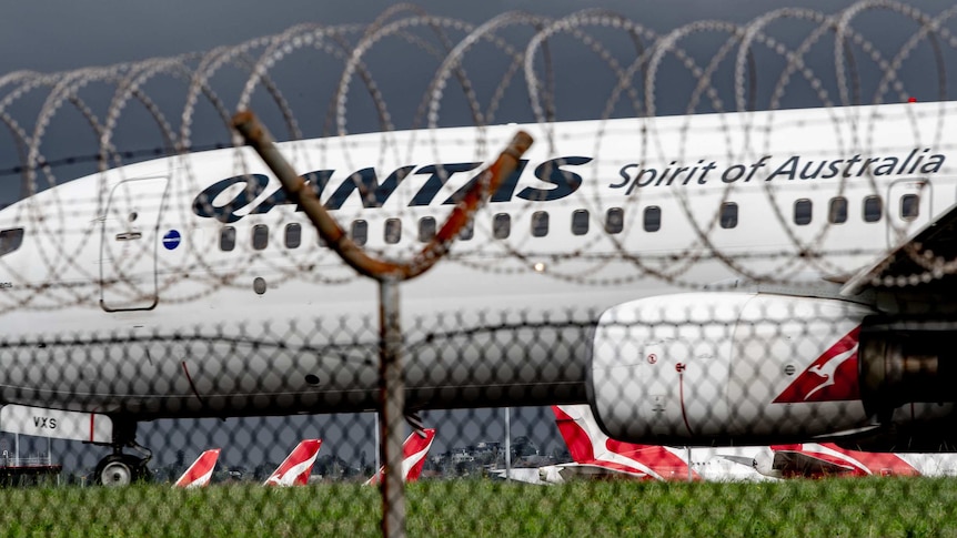 The middle section of a Qantas plane can be seen through a fence sitting in an airport.