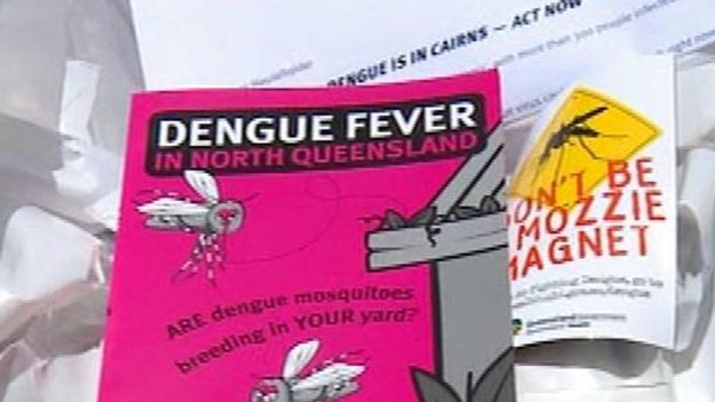 A health brochure on how to protect against dengue fever.