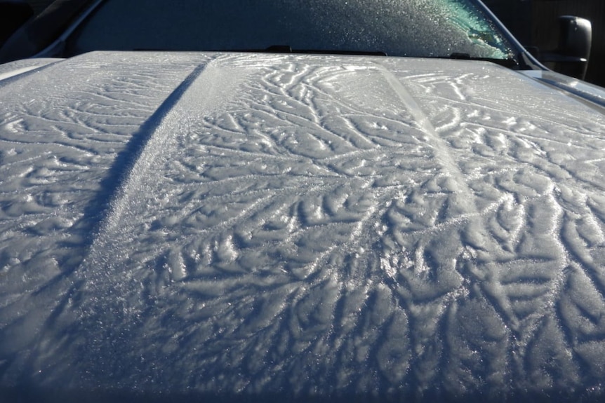 A tree-like frost pattern on a car at Bradum Bay,