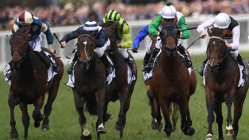Marmelo (far L) gallops along the outside as he finishes strongly in Caulfield Cup on October 21, 2017.