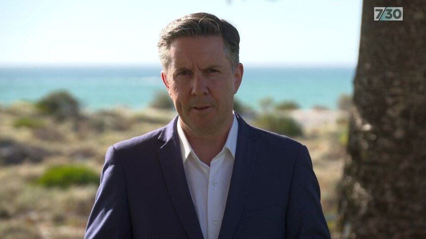 Lack of RAT supply a 'gross failure' by the federal government, says Mark Butler