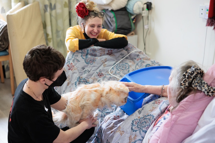 A woman in a bed touches a cat puppet being operated by a puppeteer.