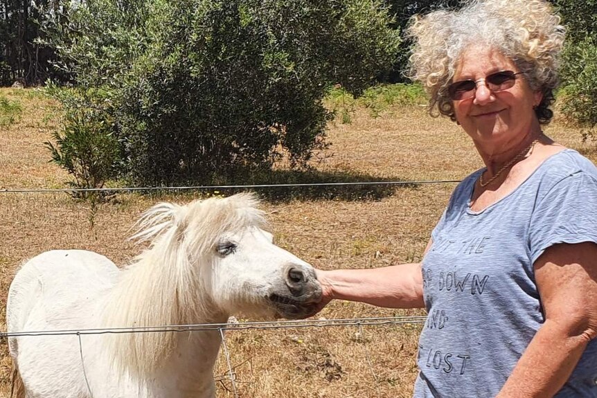 A woman and a miniature horse