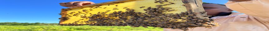 Man holds bee hive sign. 