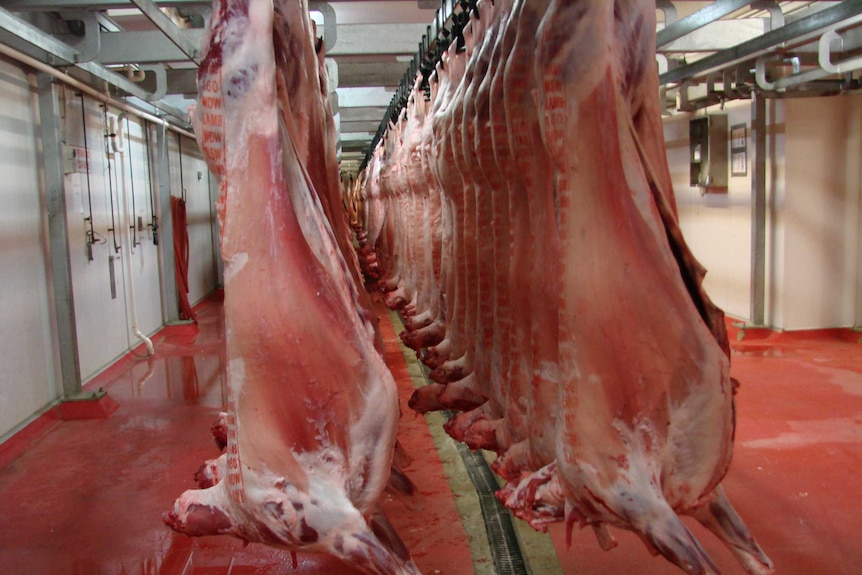 Meat hangs in an abattoir