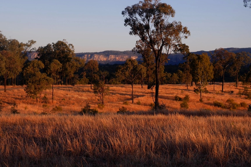 Sandstone ranges lit up in golden sunset light, grass and trees in front.