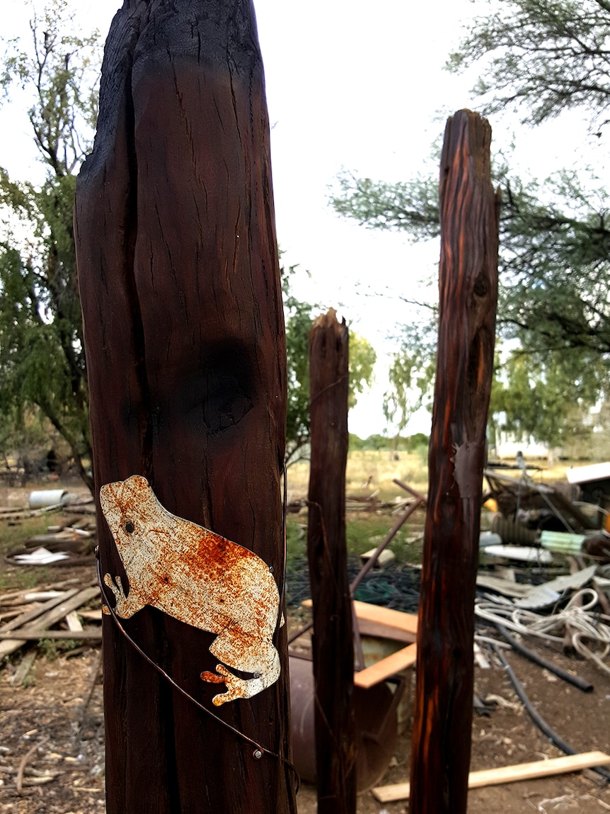 The buzzing treefrog resides in Queensland as is featured on one of Ms Westlund's totem-like poles.