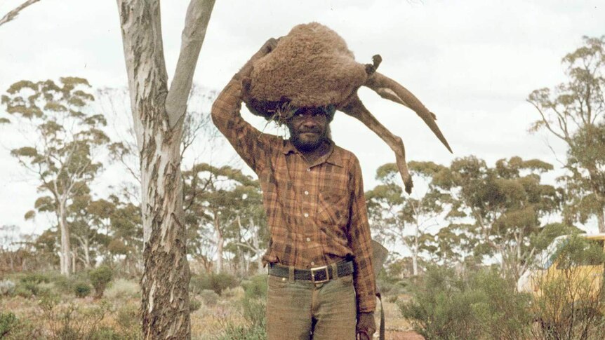 Killing, butchering and cooking a kangaroo in a campfire near Cundeelee 1977.