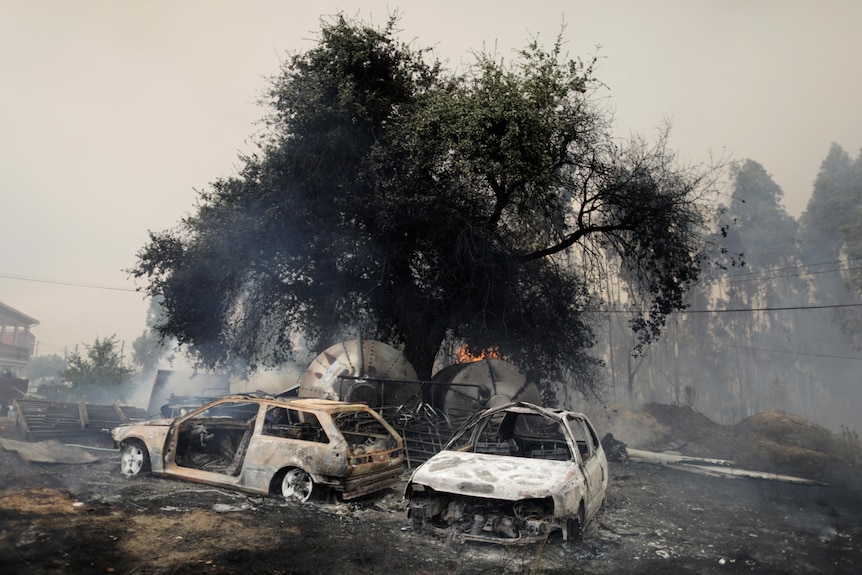 Two charred cars destroyed by fire with smoke in the background of a fire-ravaged town. 